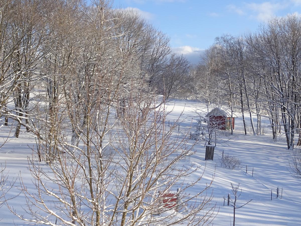 Ferienwohnung Schneemann Hohegeiß Kültér fotó